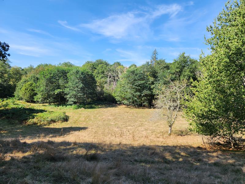 Propriété - 250 m² - 8 pièces