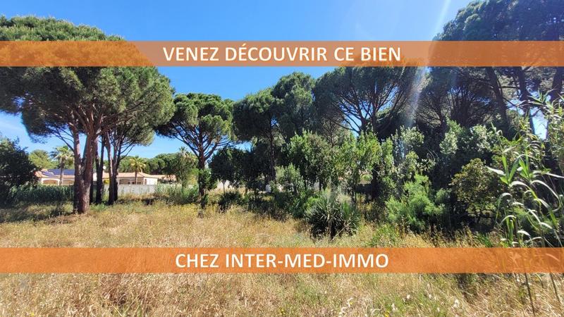 Terrain constructible - 907 m²