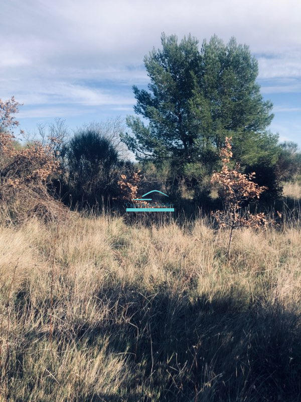 Terrain agricole - 21 172 m²