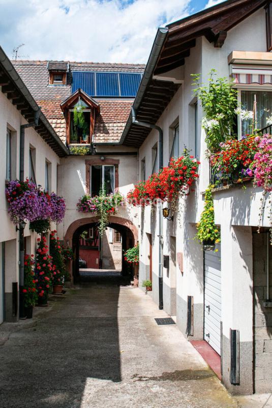 Immeuble - 428 m² - 17 pièces