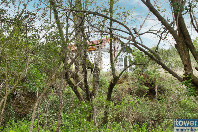 Terrain - 209 520 m²