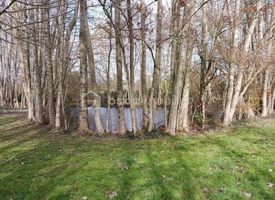 Terrain de loisirs - 2 900 m²