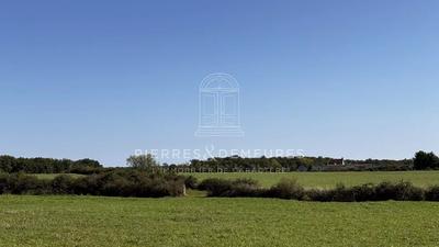 Manoir - 203 m² - 13 pièces