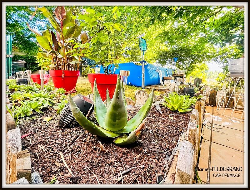 Immeuble - 206 m² - 10 pièces