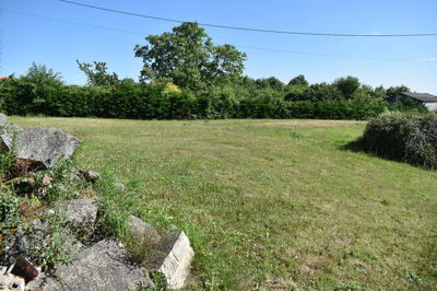 Terrain agricole - 7 179 m²