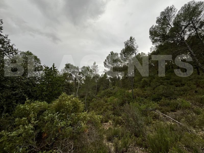 Terrain - 14 680 m²