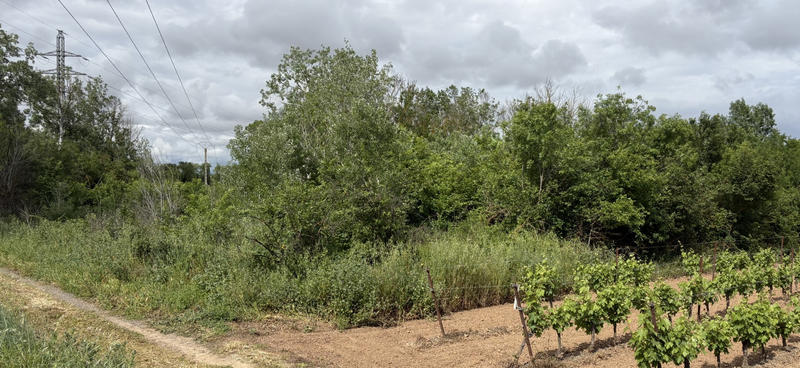 Terrain de loisirs - 3 800 m²