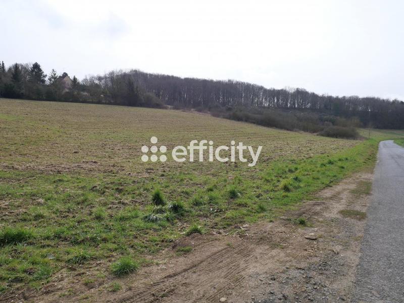 Terrain - 10 469 m²