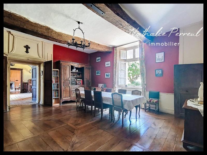 Château - 529 m² - 18 pièces