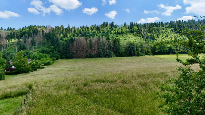 Terrain - 3 607 m²