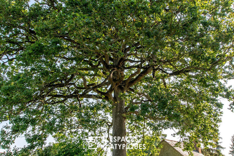 Maison - 210 m² - 8 pièces