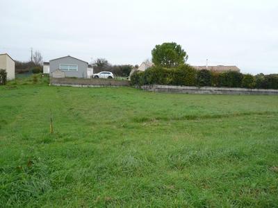 Terrain constructible - 1 000 m²