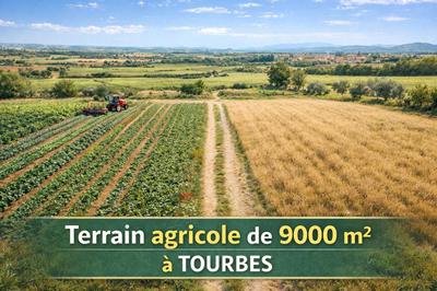 Terrain - 9 000 m²