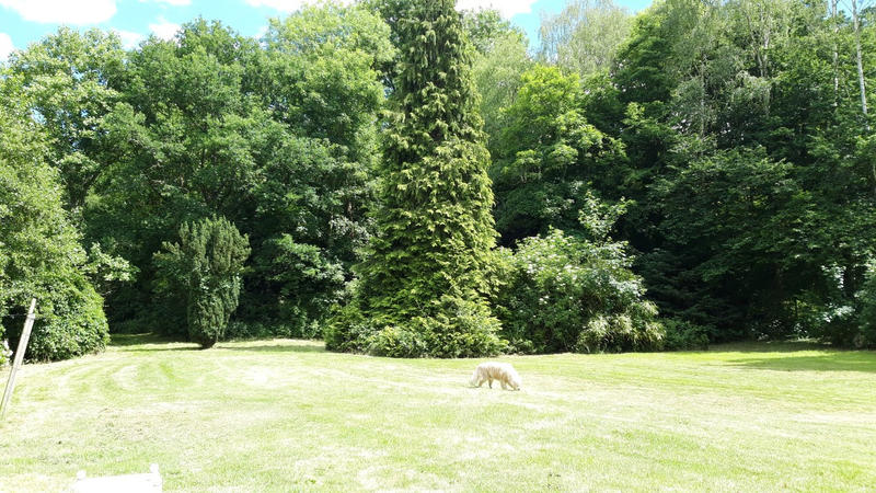 Maison - 87 m² - 5 pièces