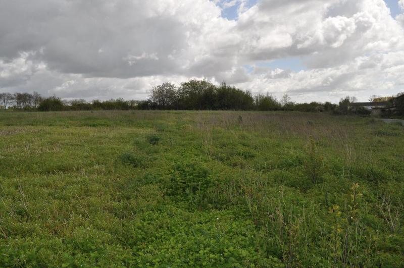 Terrain constructible - 4 979 m²