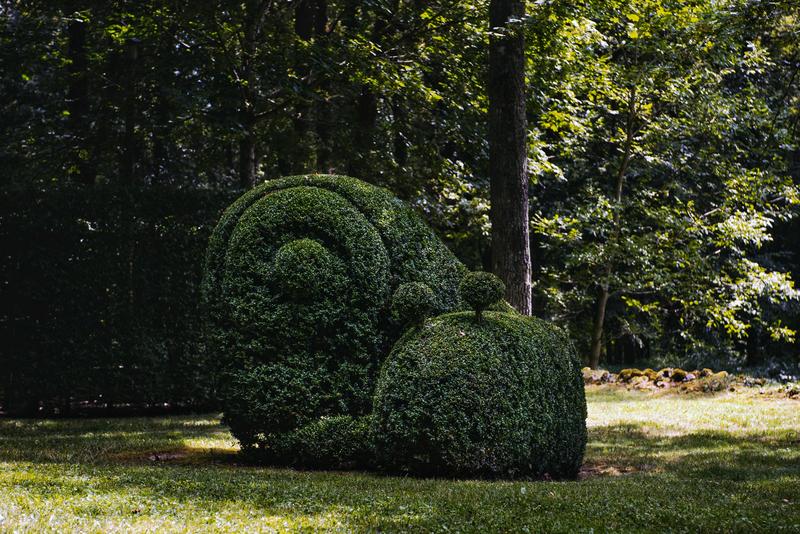 Journées Mondiales de l'Art Topiaire