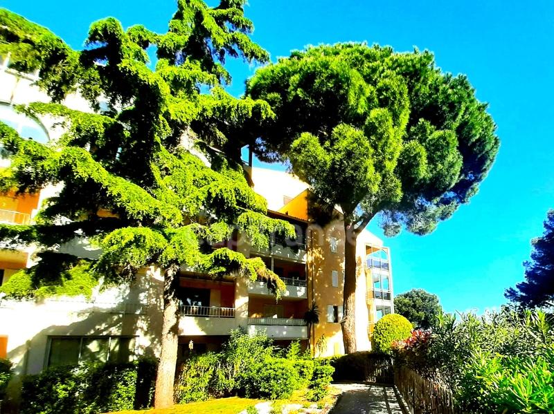 Appartement - 31 m² - 2 pièces