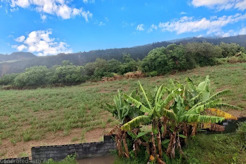 Maison - 100 m² - 6 pièces