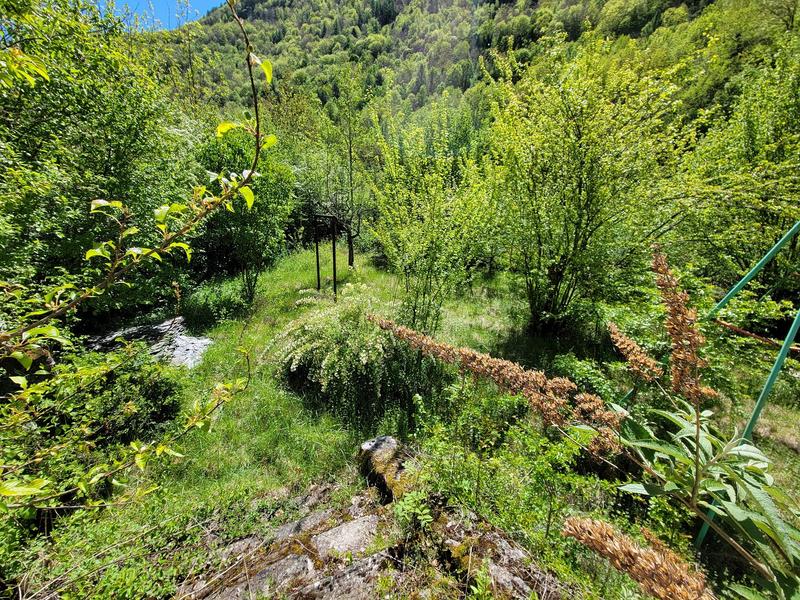 Maison ancienne - 600 m² - 12 pièces