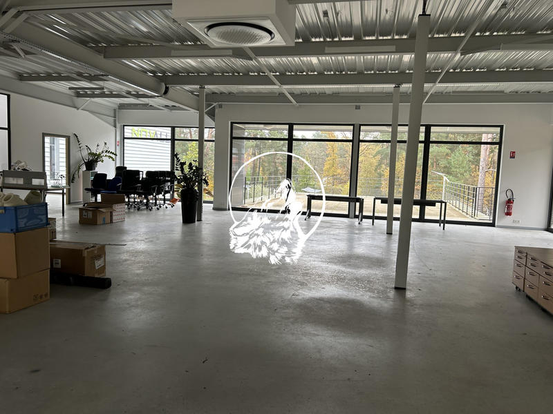 Local d'activités - 1 166 m² - 10 pièces