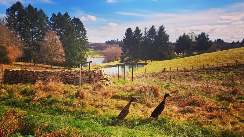 Stage Autonomie et Permaculture | Semaine en immersion