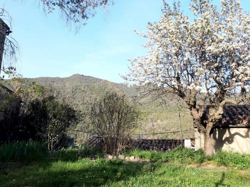 Maison de village - 100 m² - 5 pièces