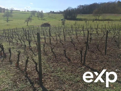 Maison - 142 m² - 6 pièces