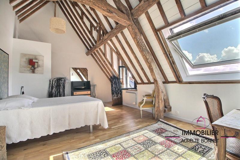 Maison ancienne - 380 m² - 12 pièces