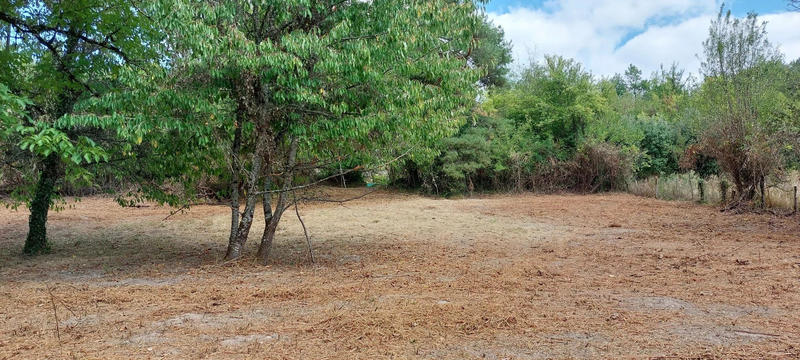 Maison - 125 m² - 1 pièce