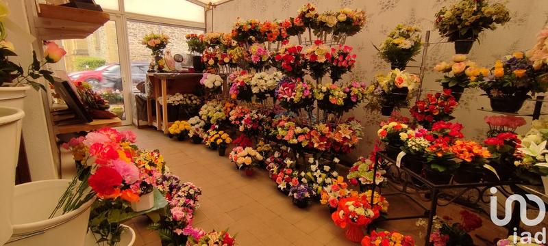 Immeuble - 180 m² - 3 pièces