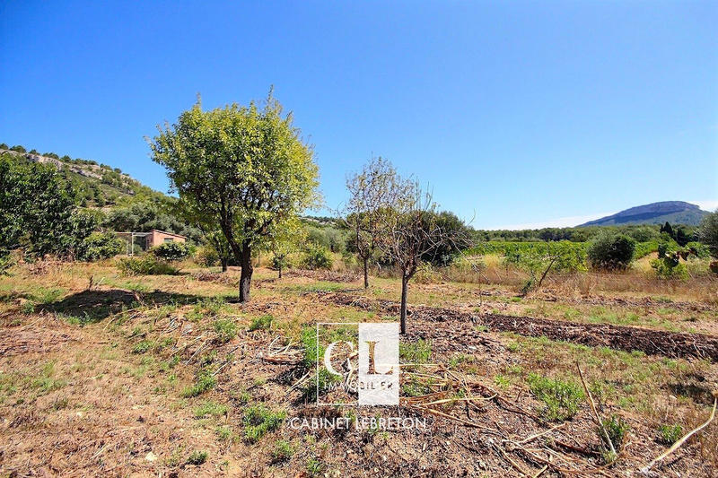 Villa - 295 m² - 5 pièces