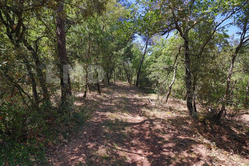 Terrain - 34 000 m²