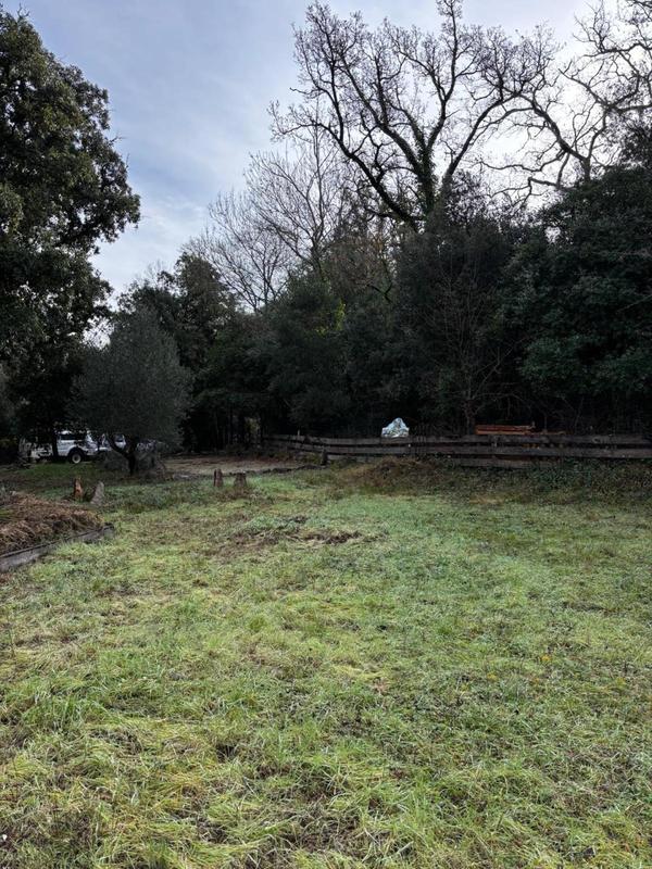 Maison - 26 m² - 2 pièces