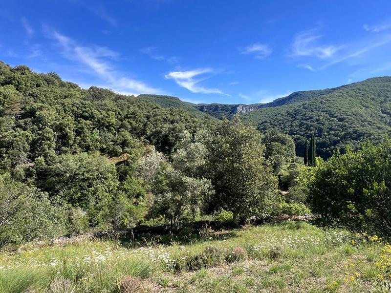 Maison en pierre - 90 m² - 4 pièces