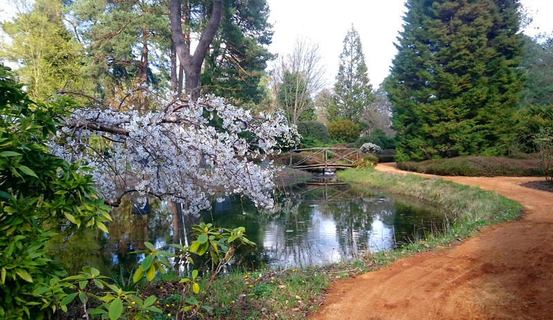 Bienvenue à l'Arboretum