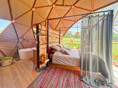 Maison chambre d'hôtes - 340 m² - 4 pièces