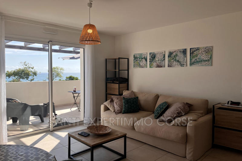 Appartement - 23 m² - 1 pièce