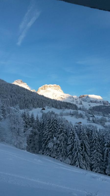 Appartement - 24 m² - 2 pièces