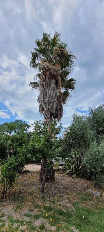 Villa - 127 m² - 6 pièces