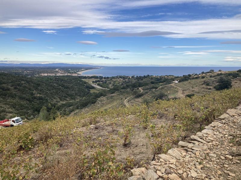 Terrain agricole - 10 846 m²