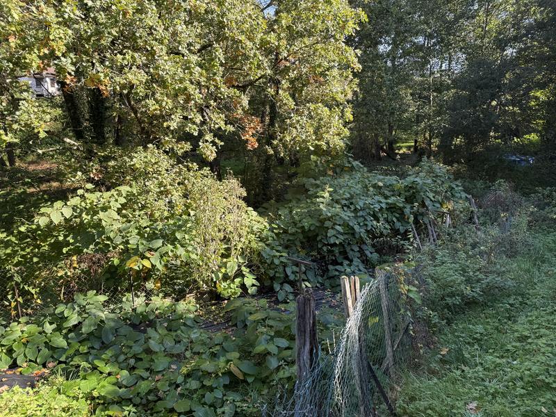 Maison - 65 m² - 4 pièces