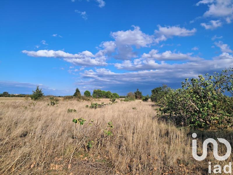 Terrain agricole - 29 000 m²