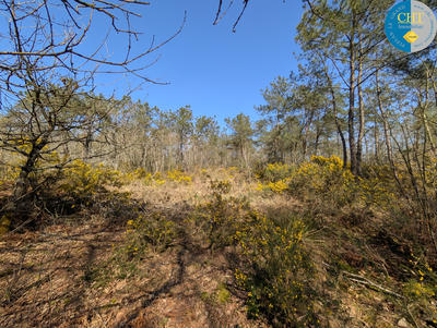 Terrain - 24 900 m²