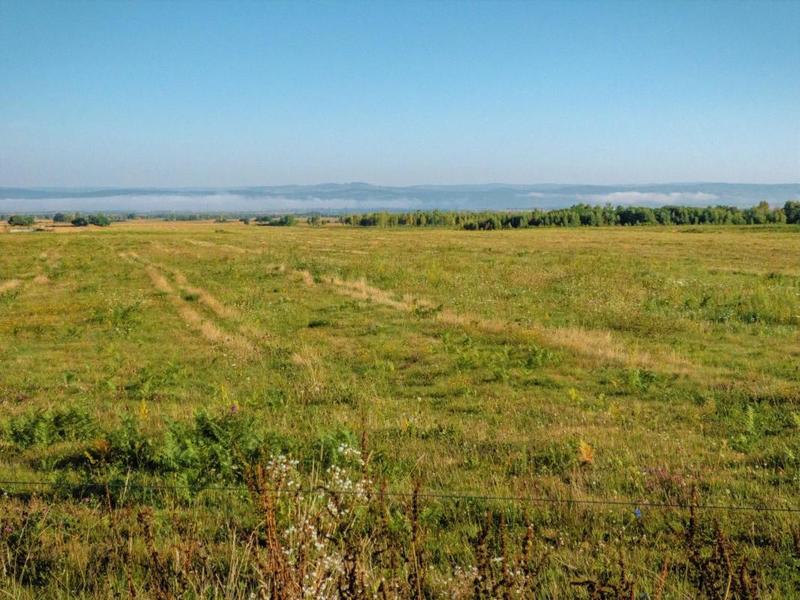 Terrain - 35 703 m²