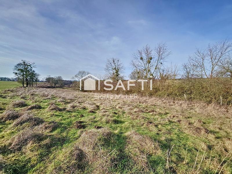 Terrain agricole - 9 918 m²