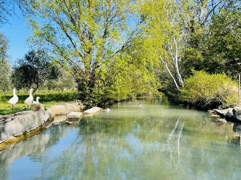 Propriété - 684 m² - 15 pièces