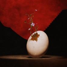 Le Petit Cirque - Théâtre des Bouffes du Nord, Paris