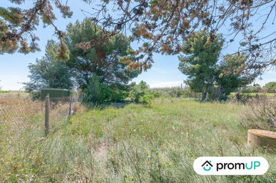 Terrain de loisirs - 569 m²