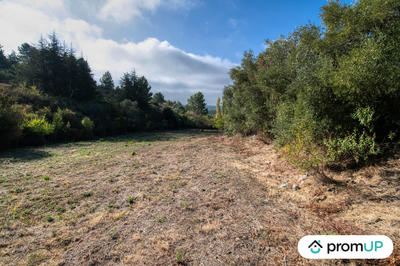 Terrain - 1 600 m²