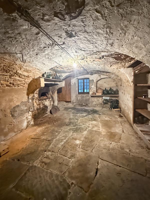 Propriété - 252 m² - 10 pièces